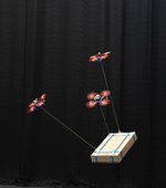 Agile and Cooperative Aerial Manipulation of a Cable-Suspended Load