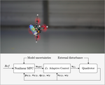 Performance, Precision, and Payloads: Adaptive Nonlinear MPC for Quadrotors